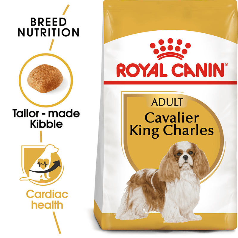 Royal Canin Cavalier