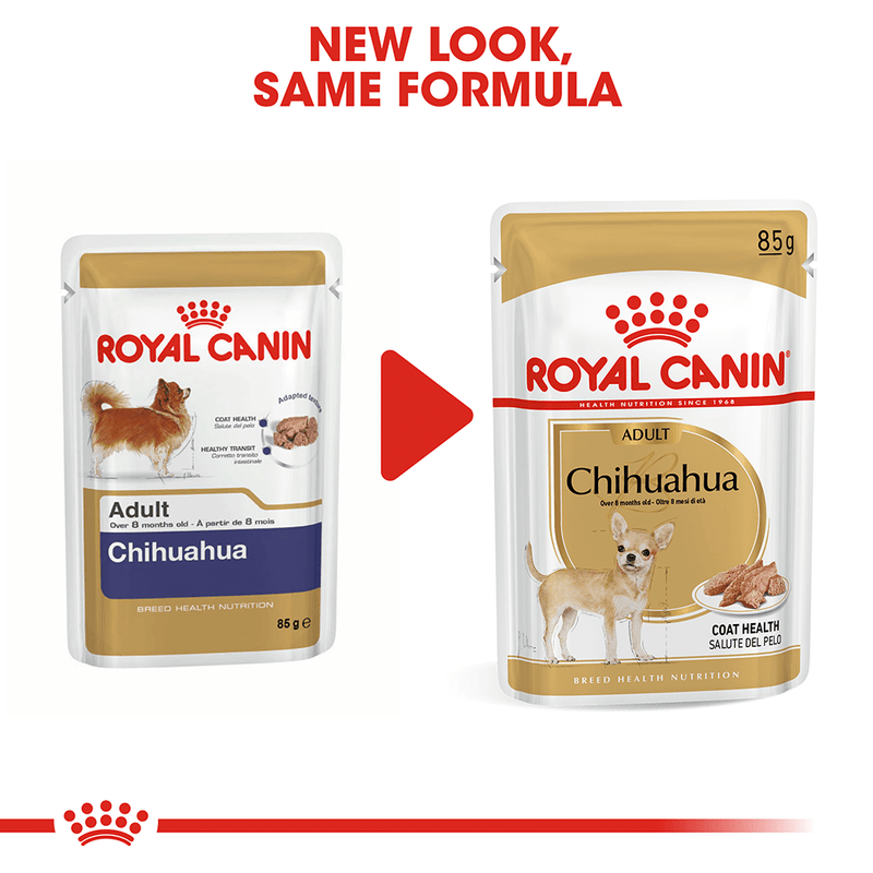 Royal Canin chihuahua wet food
