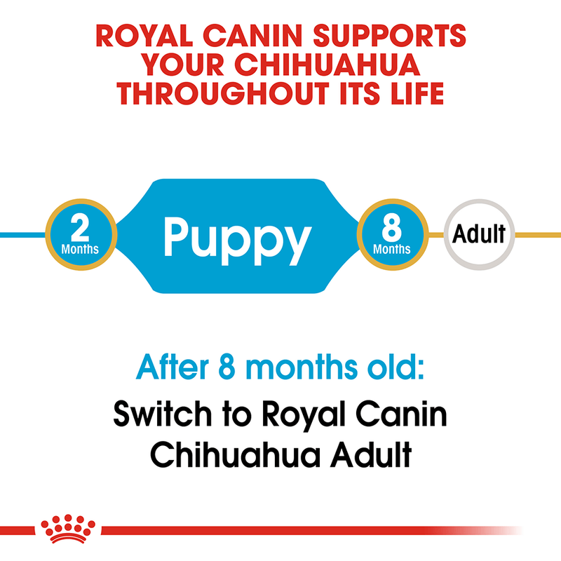 Royal Canin Chihuahua Puppy