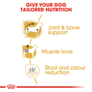 Royal Canin Dachshund