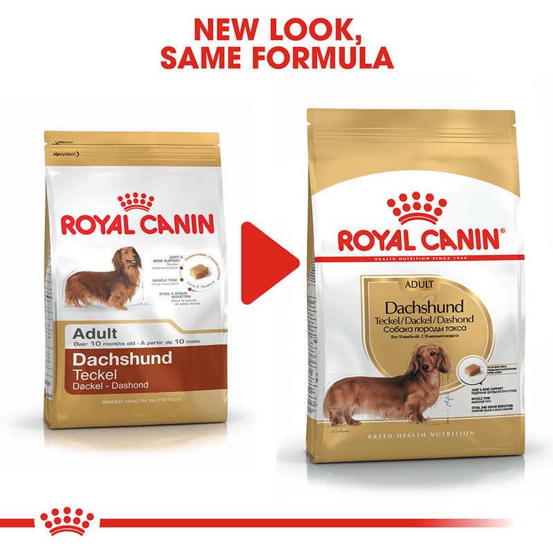 Royal Canin Dachshund