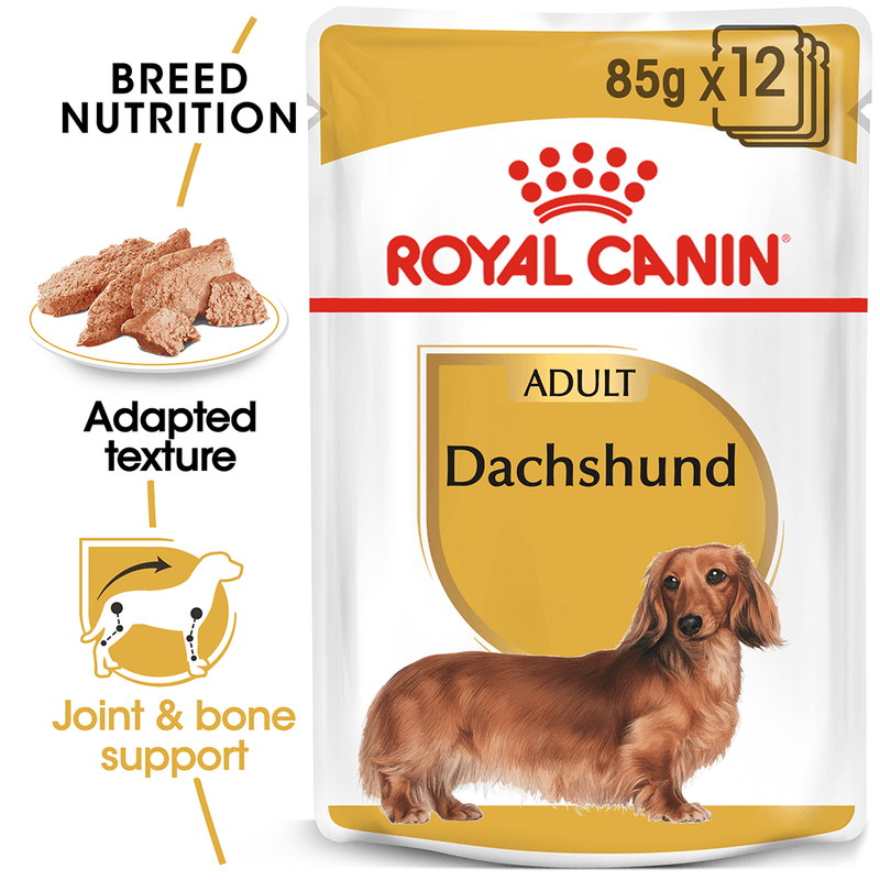 Royal canin Dachshund Wet food