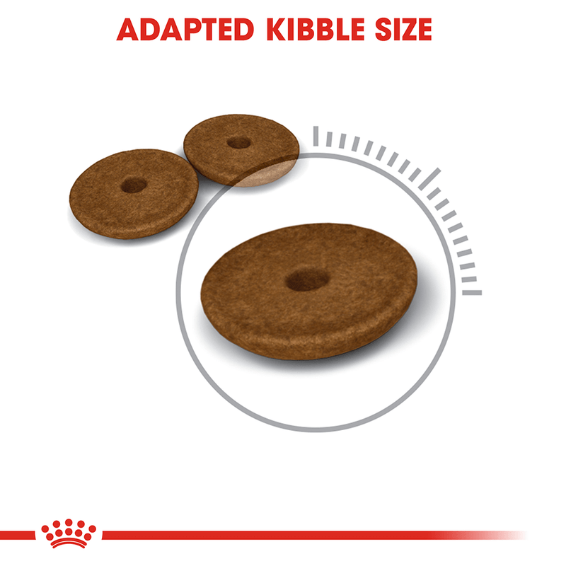 Adapted kibble size for digestion