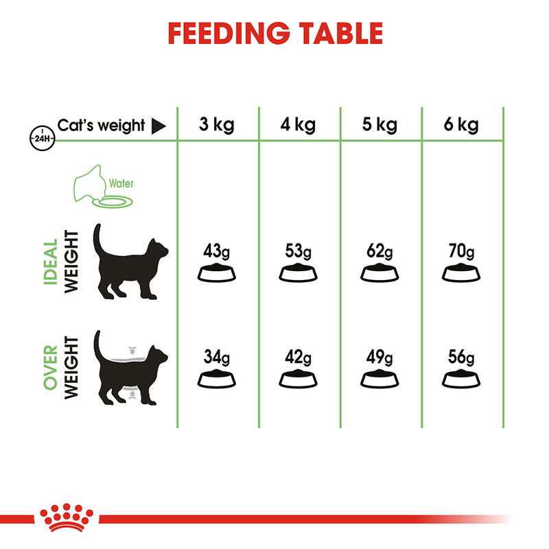 Feeding guide for cat weight