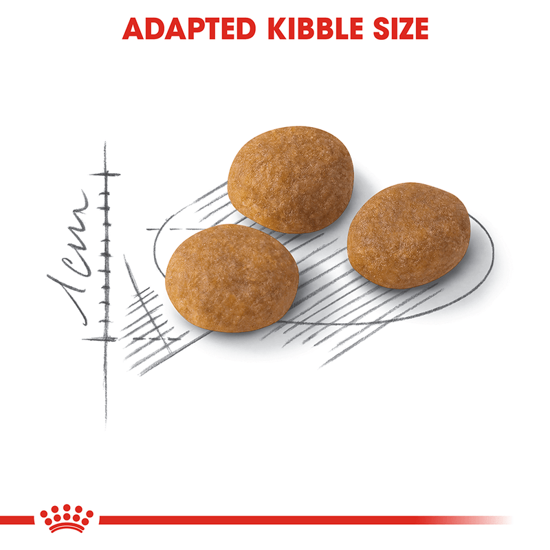 Adapted kibble size for cats