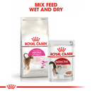 What to feed fussy cats