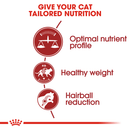 Royal canin fit food for active cats