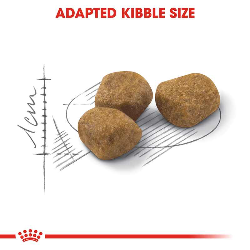 Adapted kibble for active cats