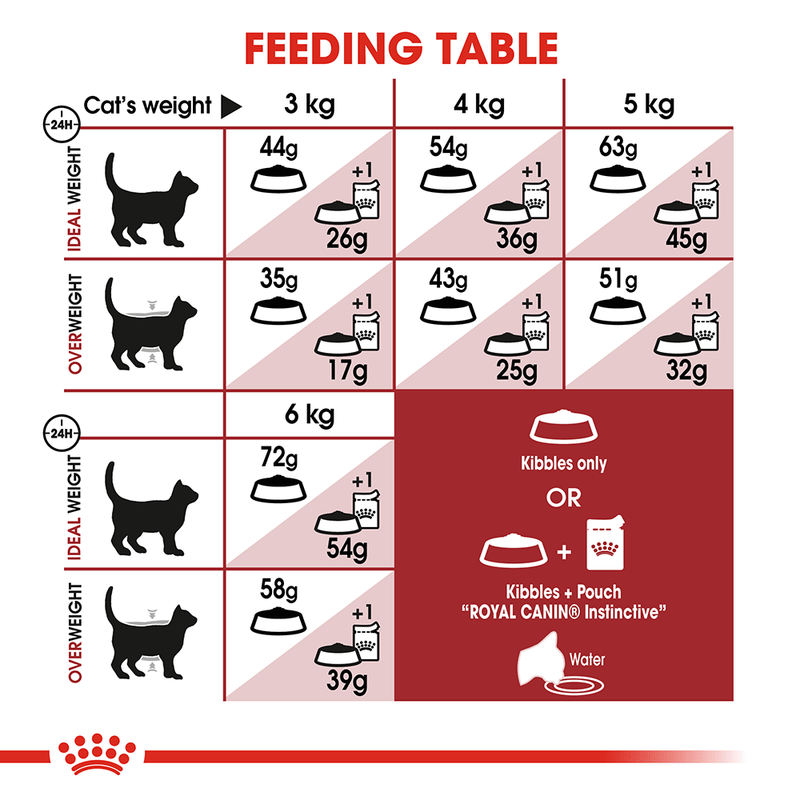 Feeding guide for active cats