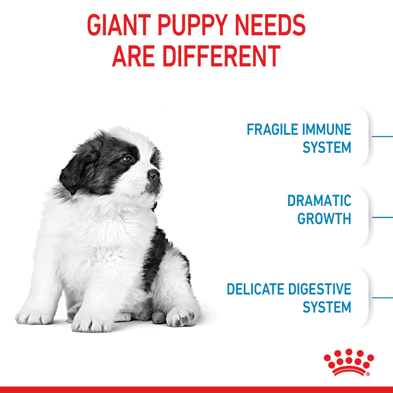 Royal Canin Puppy Giant