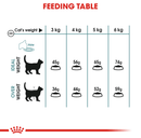 What to feed cats with hairball issues