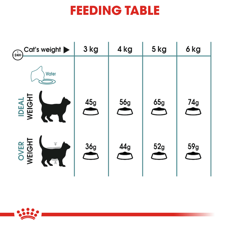 What to feed cats with hairball issues