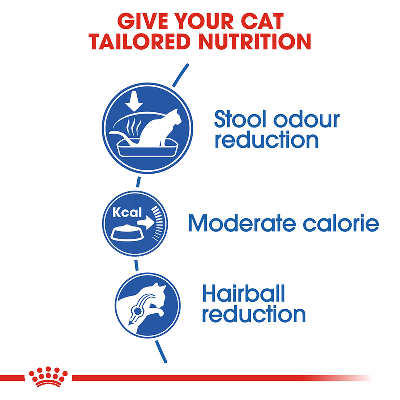 Cat food for indoor cats