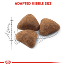 Kibble for indoor adult cats
