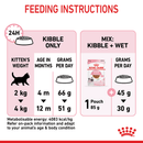 Dry kibble kitten food