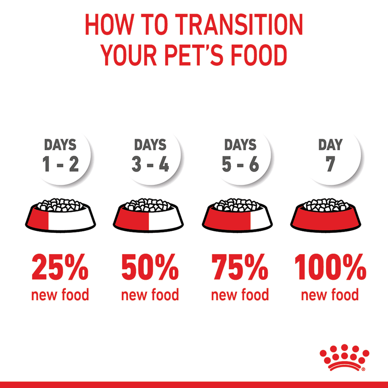 How to transition your pets food