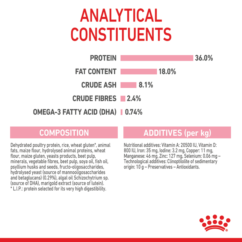 Ingredients of royal canin kitten