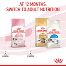 Switch to adult cat food at twelve months