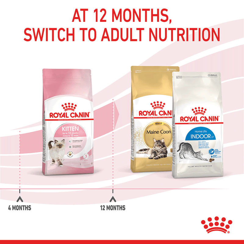 Switch to adult cat food at twelve months