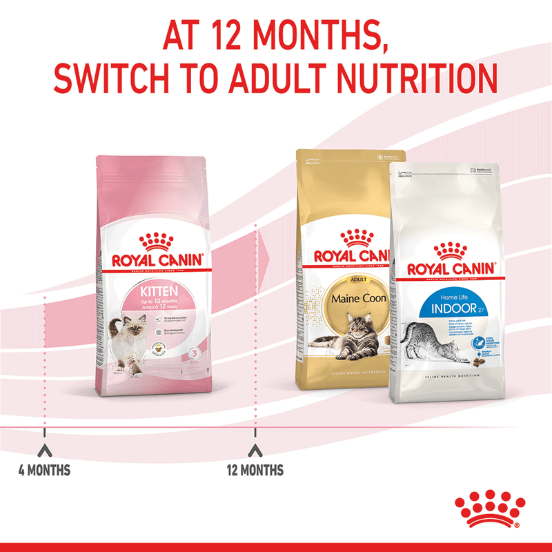 Royal canin adult and kitten food