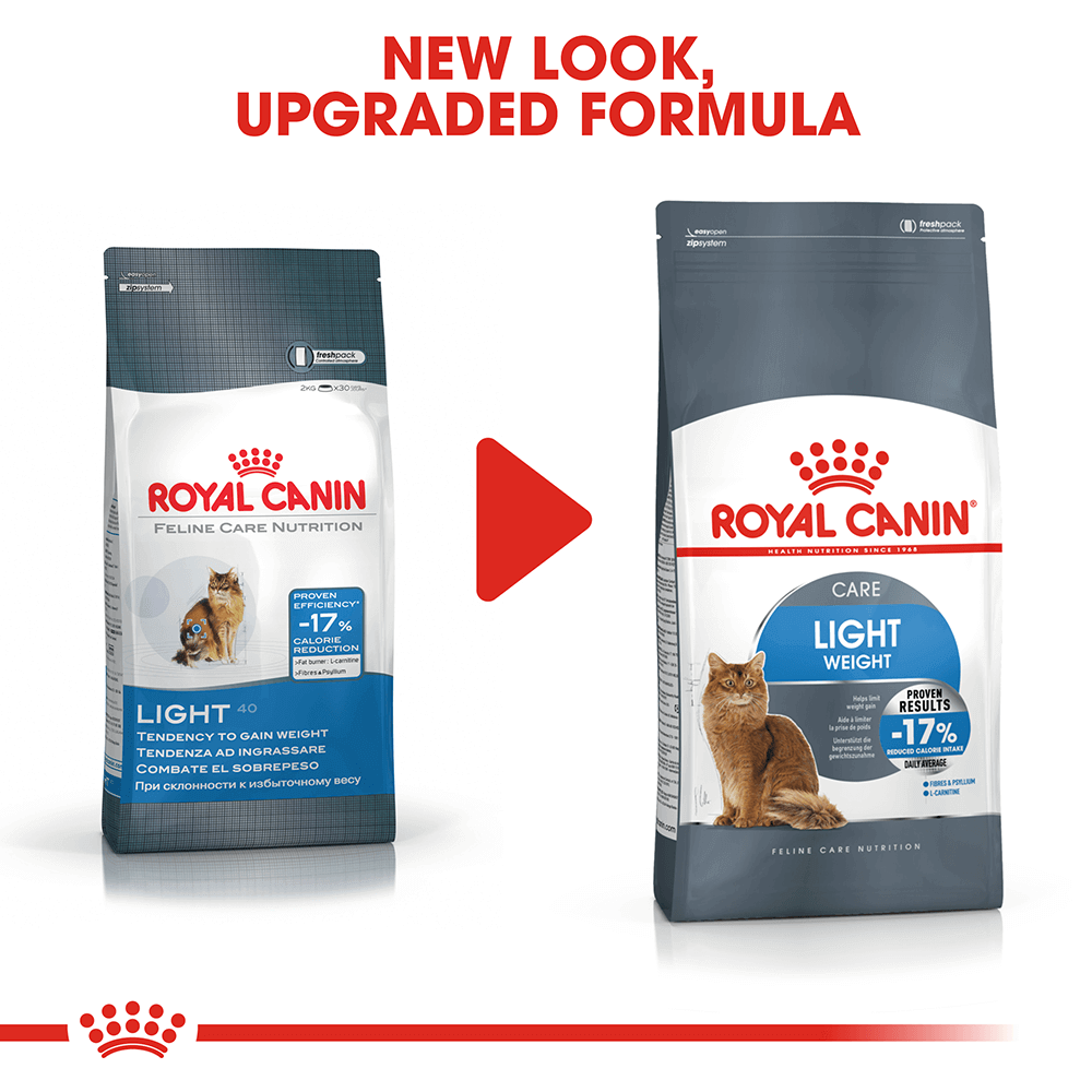 l carnitine for cat weight loss Yall! I'm freaking out and this will not last long! Only 12 hours to be  exact! My l carnitine weight loss shot drink, is BOGO 🤩😱 !!! So RUNNNNNN!  Turns your fat main image 0