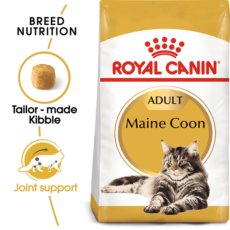 Maine coon food by royal canin
