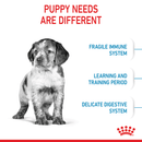 Royal Canin medium puppy