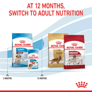 Royal Canin medium puppy
