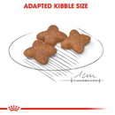 Mini Adult kibble