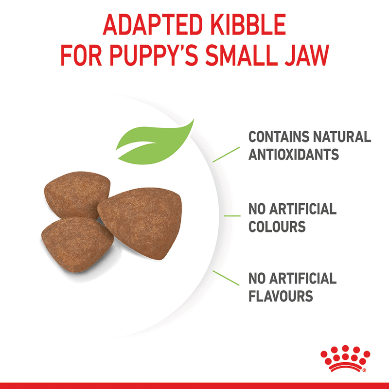 Mini Puppy Kibble