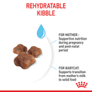 Kibble rehydrating for support of both mother and babies