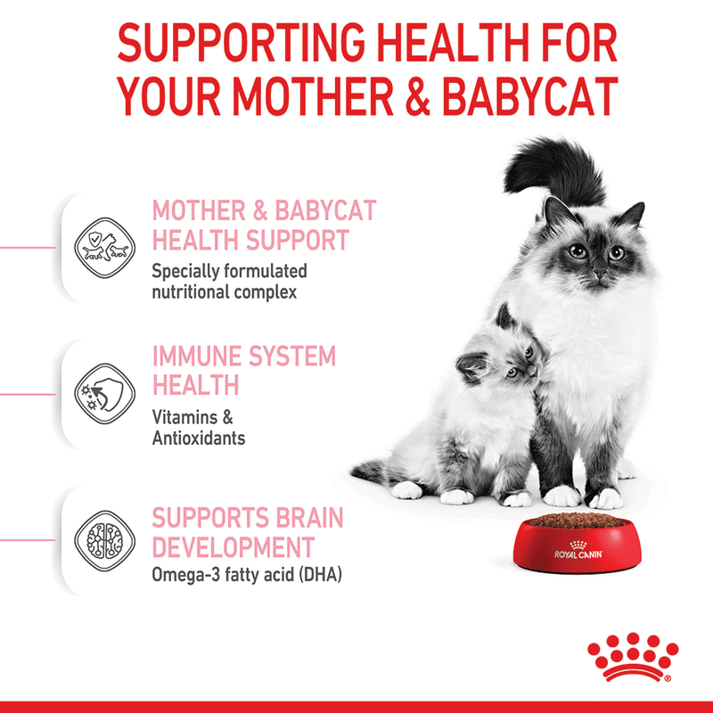 Food for support of mother and baby cats