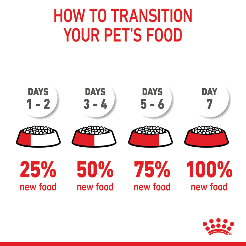 Transition cat food