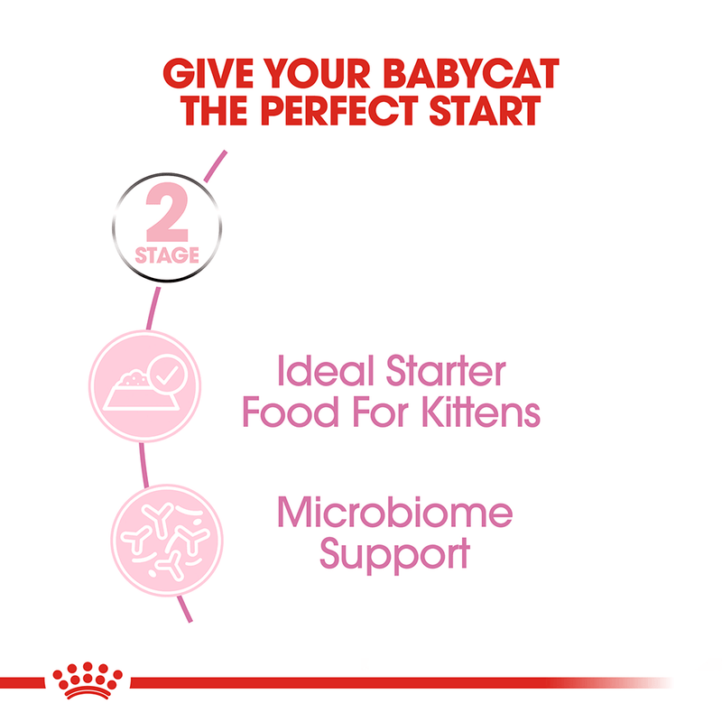 ROYAL CANIN CAT MOTHER & BABY CAT 100G