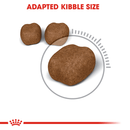 Adapted kibble for oral health