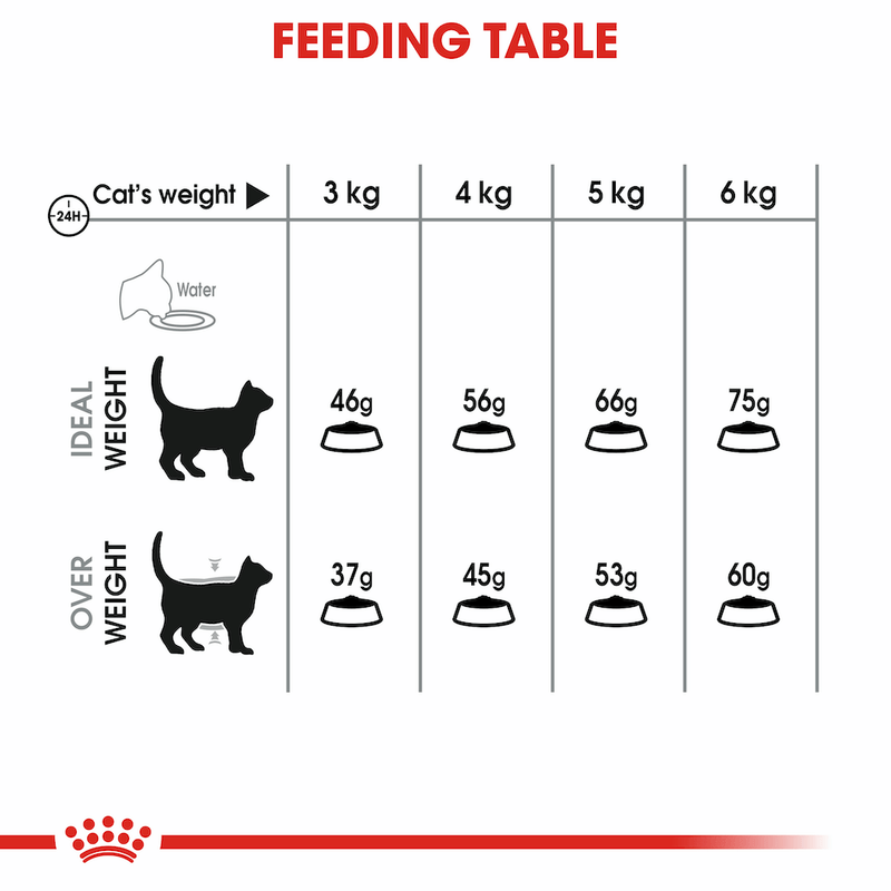 Royal canin oral care feeding guide
