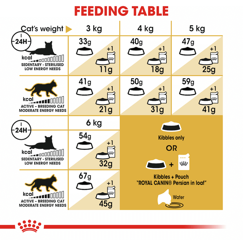 feeding guide for persian cats