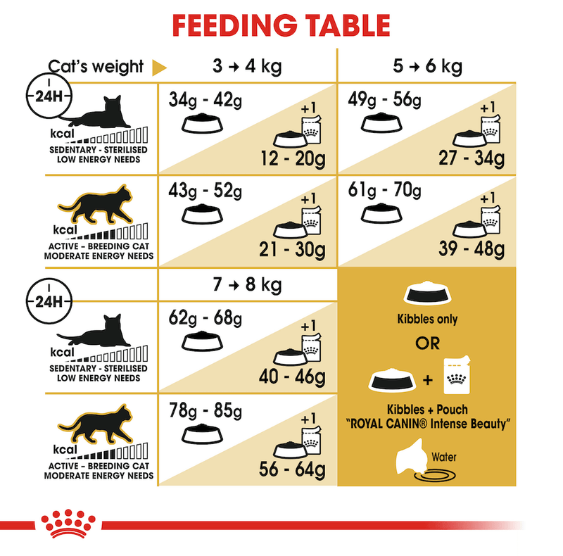 Ragdoll feeding guide