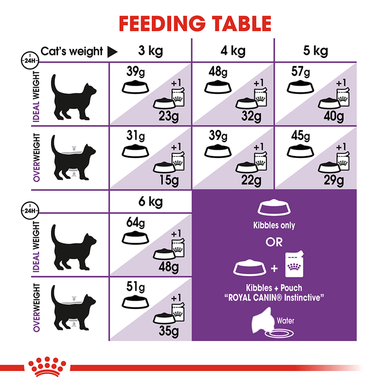 Feeding suggestion for cat weight