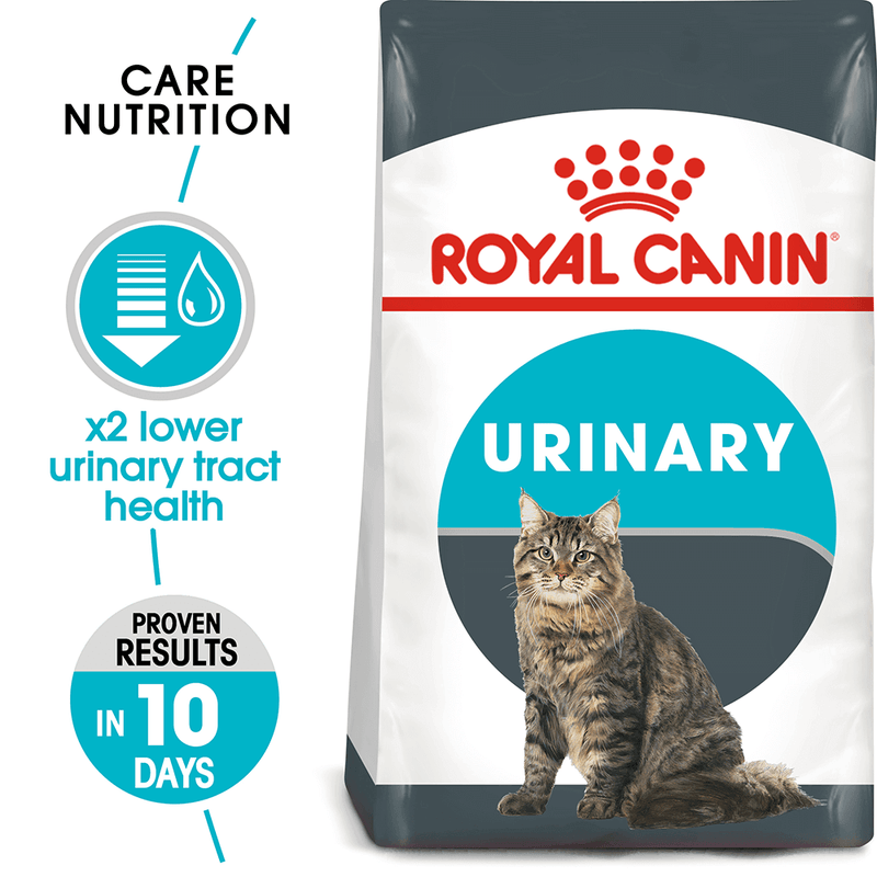 Urinary cat ood