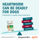 Heartworm treatment for large dogs