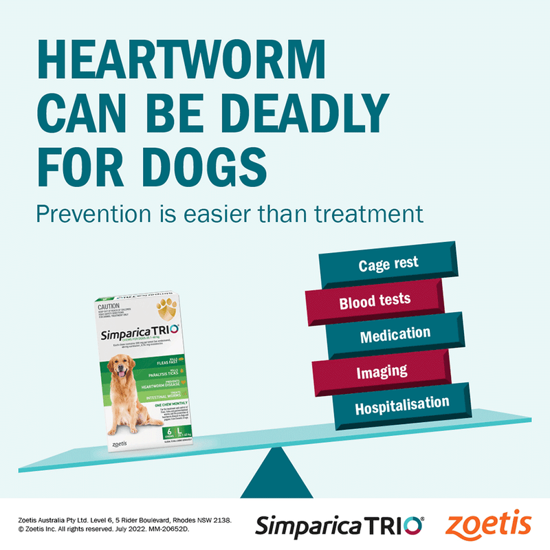 Heartworm treatment for large dogs