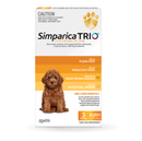 Flea and tick Treatment Puppy